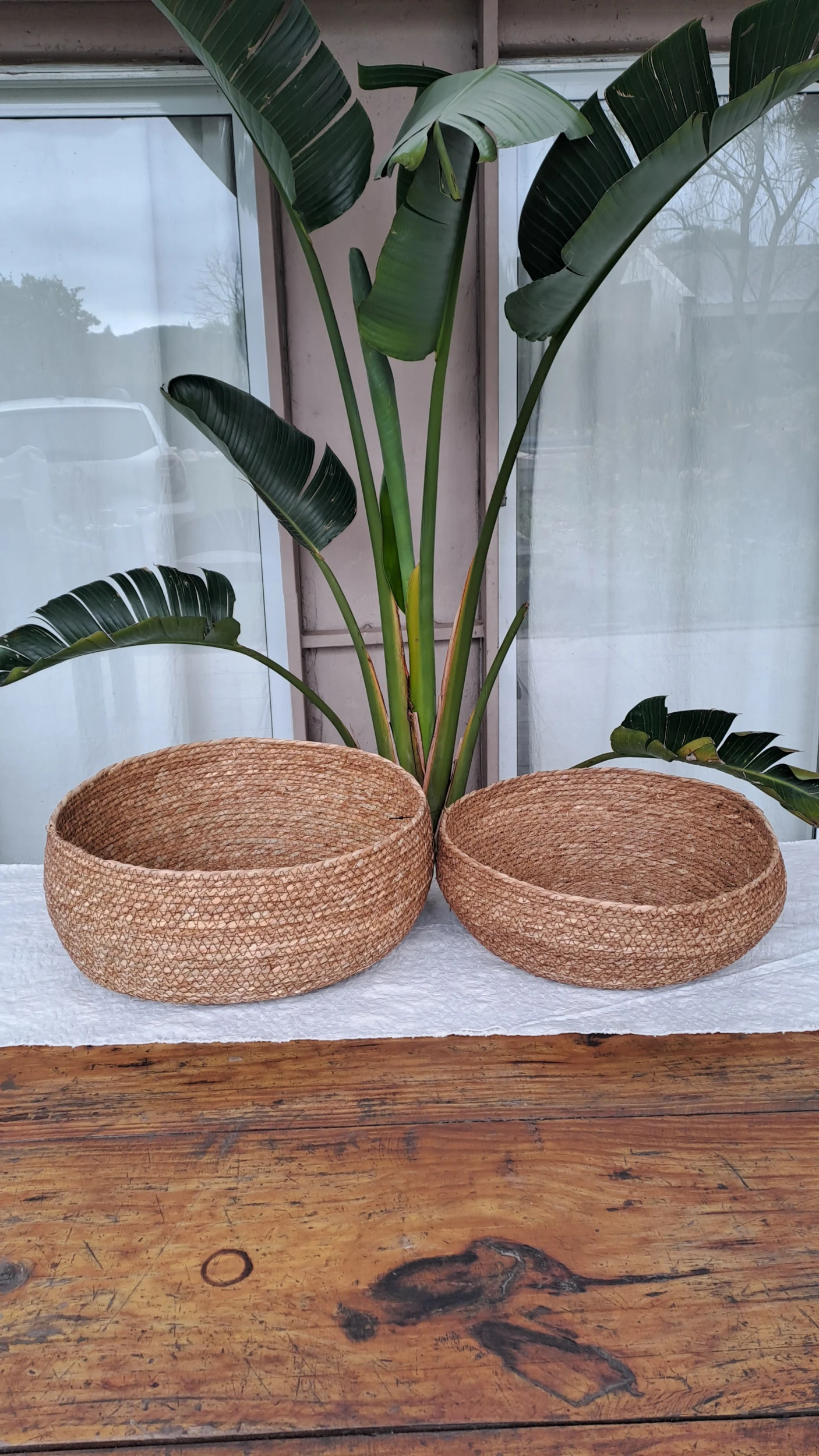 Canastas set x2
